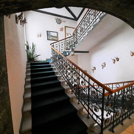 Hotel Koruna 耶塞尼克 外观 照片
